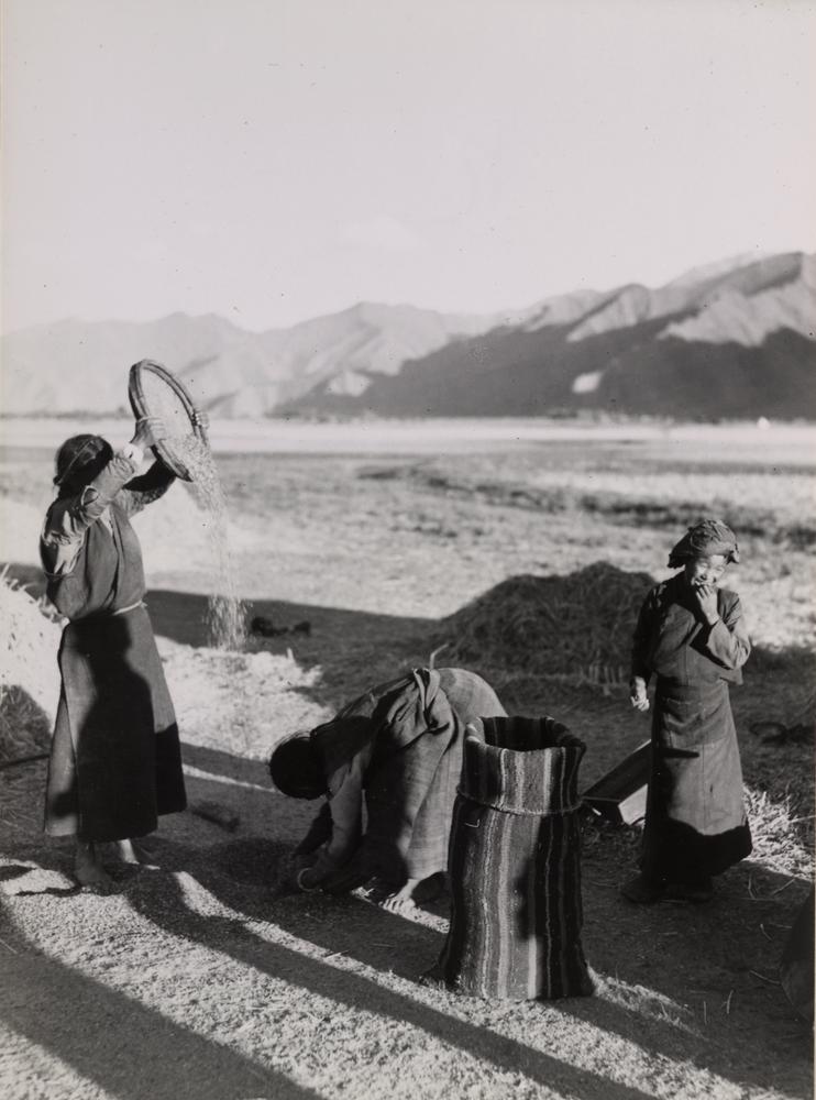 图片[1]-photographic print(black and white); album BM-1986-0313-0.1.186-China Archive